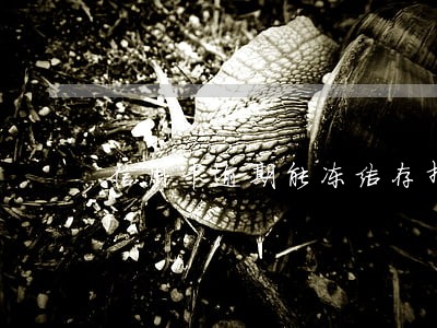 信用卡逾期能冻结存折吗