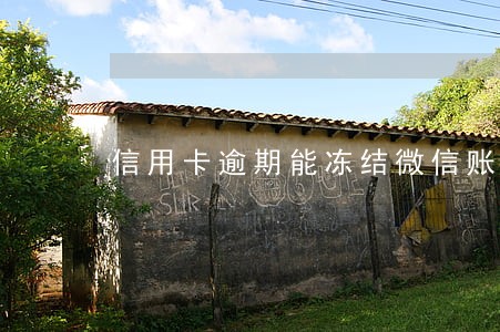 信用卡逾期能冻结微信账户吗 信用卡逾期能冻结微信账户吗