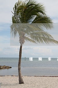 信用卡逾期能出去找工作吗