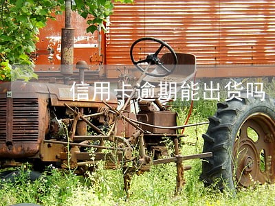 信用卡逾期能出货吗