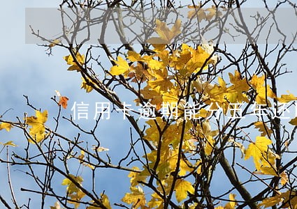 信用卡逾期能分五年还吗 信用卡逾期能分五年还吗