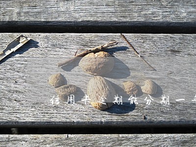 信用卡逾期能分期一年吗 信用卡逾期能分期一年吗