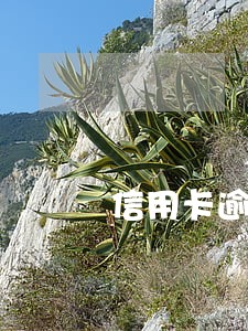 信用卡逾期能删吗 信用卡逾期能删吗