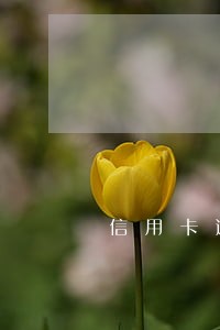 信用卡逾期能办e招贷吗 信用卡逾期能办e招贷吗