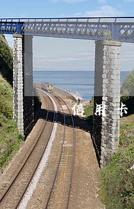 信用卡逾期能办什么信用卡