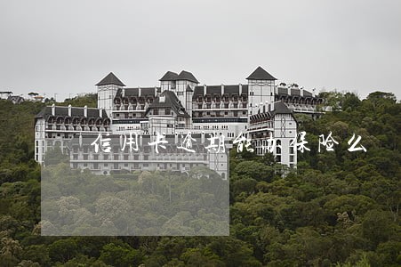 信用卡逾期能办保险么 信用卡逾期能办保险么
