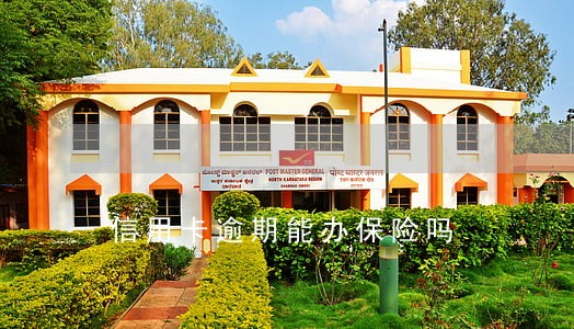 信用卡逾期能办保险吗 信用卡逾期能办保险吗