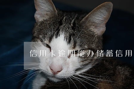 信用卡逾期能办储蓄信用卡吗 信用卡逾期能办储蓄信用卡吗