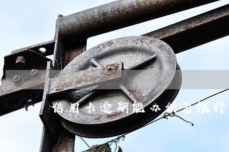 信用卡逾期能办储蓄银行卡吗