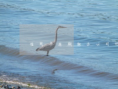 信用卡逾期能办公司吗 信用卡逾期能办公司吗