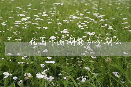 信用卡逾期能办分期么 信用卡逾期能办分期么