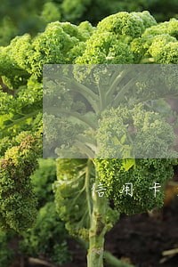 信用卡逾期能办分期吗 信用卡逾期能办分期吗