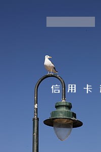 信用卡逾期能办别的银行卡吗