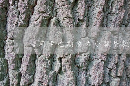 信用卡逾期能办小额贷款吗 信用卡逾期能办小额贷款吗