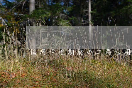 信用卡逾期能办工商信用卡吗 信用卡逾期能办工商信用卡吗