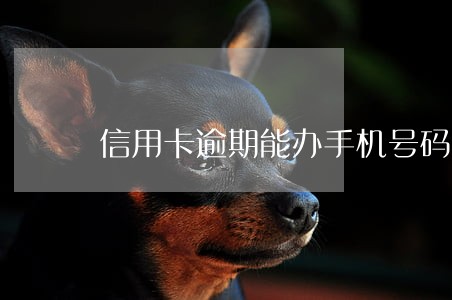 信用卡逾期能办手机号码吗