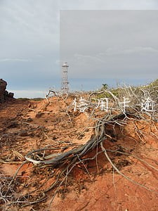 信用卡逾期能办执照吗 信用卡逾期能办执照吗
