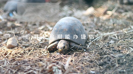 信用卡逾期能办捷信 信用卡逾期能办捷信