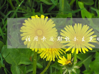 信用卡逾期能办支票吗 信用卡逾期能办支票吗