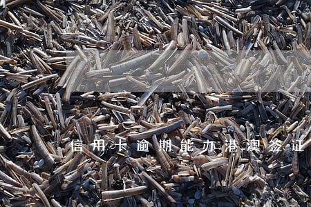 信用卡逾期能办港澳签证吗 信用卡逾期能办港澳签证吗