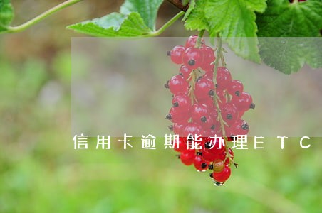 信用卡逾期能办理ETC吗 信用卡逾期能办理ETC吗