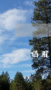 信用卡逾期能办理U盾吗
