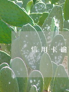 信用卡逾期能办理个体营业执照吗 信用卡逾期能办理个体营业执照吗