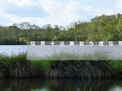 信用卡逾期能办理信用卡吗