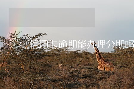 信用卡逾期能办理分期吗 信用卡逾期能办理分期吗