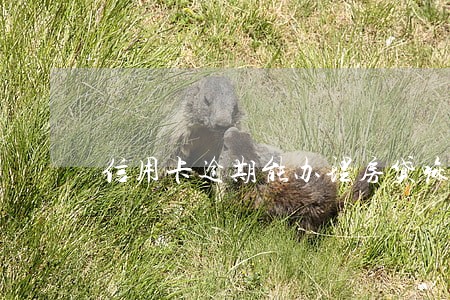 信用卡逾期能办理房贷嘛 信用卡逾期能办理房贷嘛