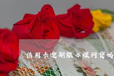 信用卡逾期能办理网贷吗 信用卡逾期能办理网贷吗