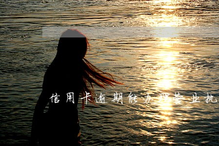 信用卡逾期能办理营业执照吗