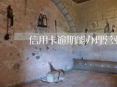 信用卡逾期能办理营业执照嘛