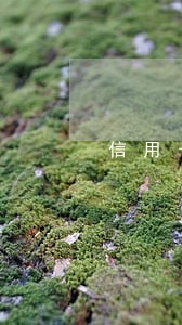 信用卡逾期能办离婚证吗 信用卡逾期能办离婚证吗