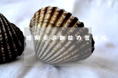 信用卡逾期能办签证吗 信用卡逾期能办签证吗