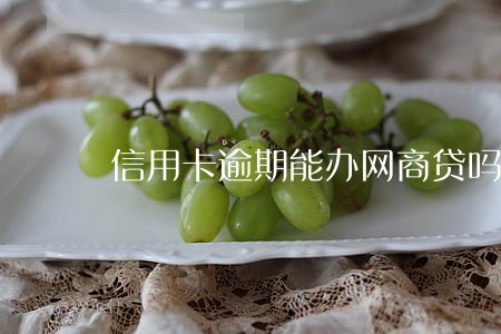 信用卡逾期能办网商贷吗 信用卡逾期能办网商贷吗