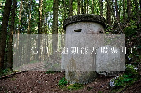 信用卡逾期能办股票开户吗 信用卡逾期能办股票开户吗