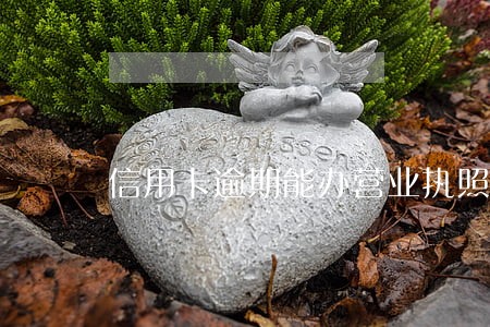 信用卡逾期能办营业执照吗 信用卡逾期能办营业执照吗