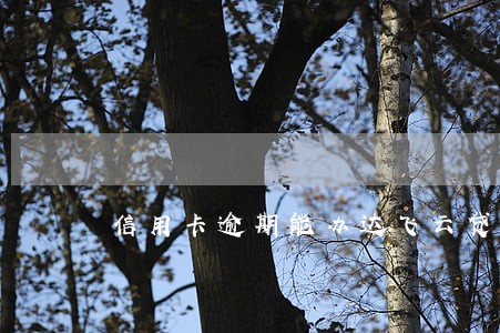 信用卡逾期能办达飞云贷吗 信用卡逾期能办达飞云贷吗