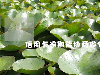 信用卡逾期能协商做分期吗 信用卡逾期能协商做分期吗