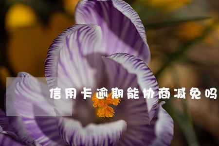 信用卡逾期能协商减免吗 信用卡逾期能协商减免吗