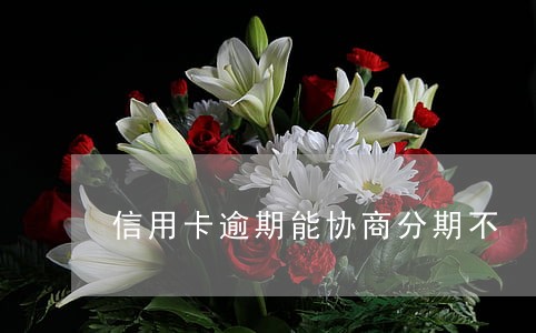 信用卡逾期能协商分期不