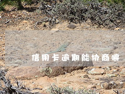 信用卡逾期能协商嘛
