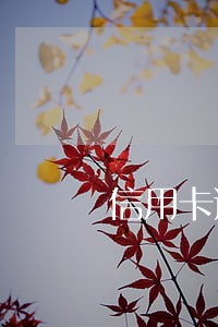 信用卡逾期能协商还本金分期吗 信用卡逾期能协商还本金分期吗