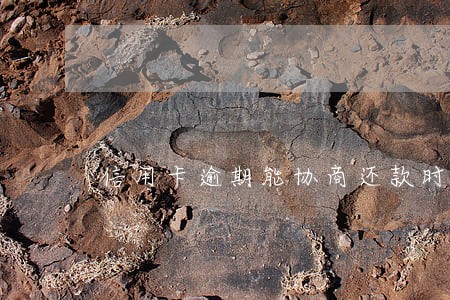 信用卡逾期能协商还款时间 信用卡逾期能协商还款时间