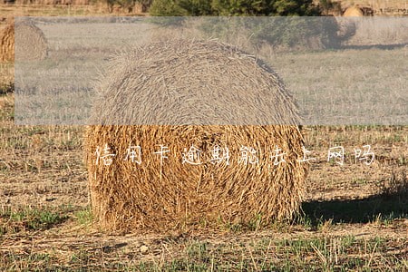 信用卡逾期能去上网吗 信用卡逾期能去上网吗