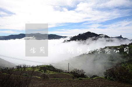 信用卡逾期能去保险公司上班吗 信用卡逾期能去保险公司上班吗
