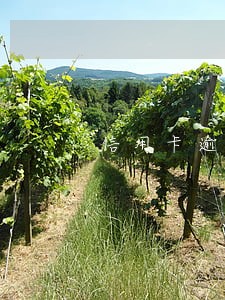 信用卡逾期能去外地吗 信用卡逾期能去外地吗
