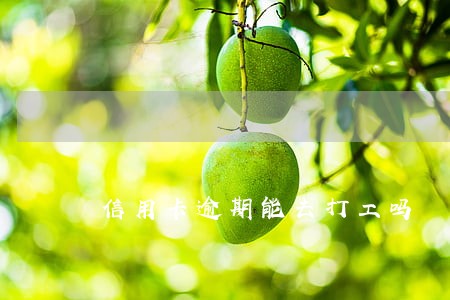 信用卡逾期能去打工吗 信用卡逾期能去打工吗