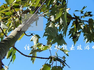 信用卡逾期能去旅游吗 信用卡逾期能去旅游吗